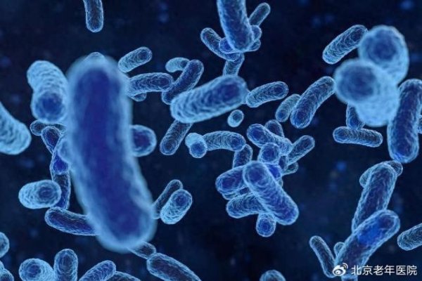 海陆证券 空调 “憋” 了一年，吹出的军团菌把人送进ICU